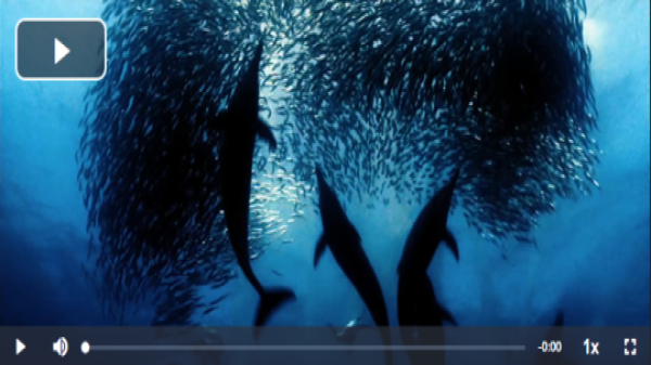 Video streaming per Drupal